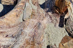 20250404_134418 20250404_134418