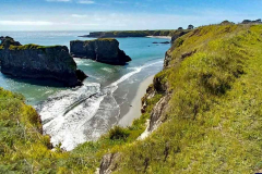 20250404_153007 20250404_153007