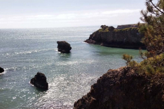 20250404_153347 20250404_153347