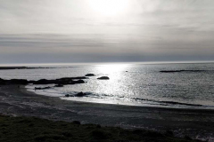 20250404_180728 20250404_180728