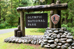 Rialto Beach Washington at the Olympic National Park