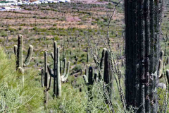P1000469
