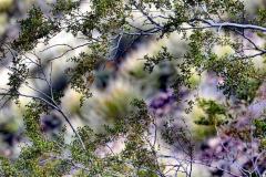 P1022868