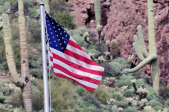 P1022875