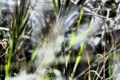 P1022888