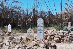 22-20260228_114917