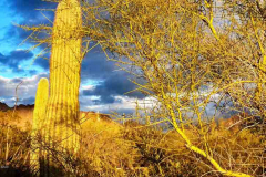 20190203_173407