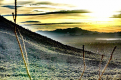 P1260067