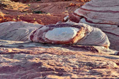 P1011950