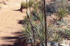 20190418_091014