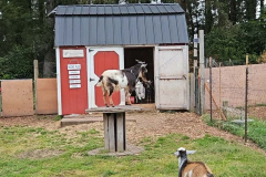 Screenshot-2025-11-02-154250