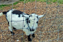 Screenshot-2025-11-02-154506-1