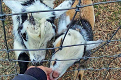 Screenshot-2025-11-02-154859