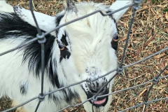 Screenshot-2025-11-02-155029