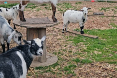 Screenshot-2025-11-02-155306