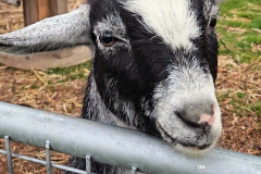 Screenshot-2025-11-02-155357