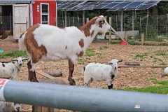 Screenshot-2025-11-02-155446