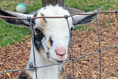 Screenshot-2025-11-02-155536